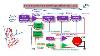 Dso Digital Storage Oscilloscope Working Of Dso Using Block Diagram Mode Of Operation Of Dso